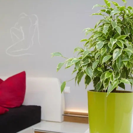 Apartman Ferienwohnung Rossle *